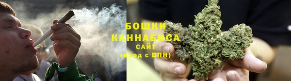 прущие грибы Лихославль