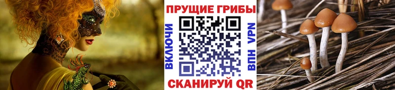 Псилоцибиновые грибы ЛСД  Лысково 